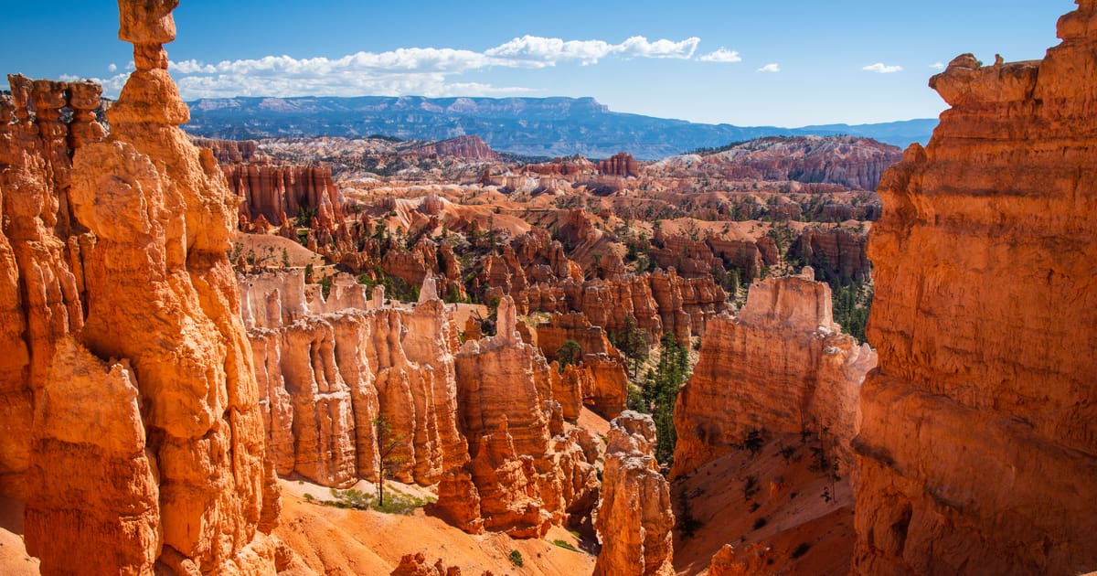 A sweeping panoramic view of Bryce Canyon's distinctive hoodoo formations, with towering red-orange sandstone spires filling the amphitheater under bright midday sunlight and a vivid blue sky. The scene conveys dramatic geological grandeur with warm, saturated tones contrasting against scattered green conifers and distant layered mesas.