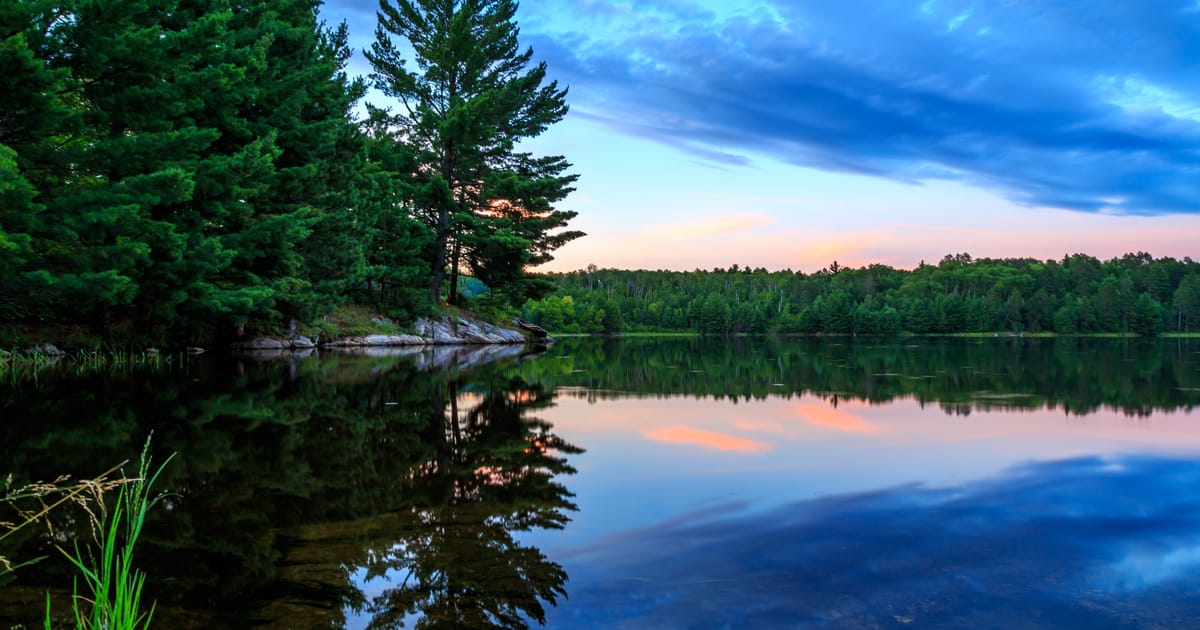 A serene lake at twilight reflects tall pine trees and a dramatic blue-purple sky with soft pink sunset hues near the horizon. The glassy, mirror-like water and lush evergreen shoreline create a tranquil, pristine wilderness mood.