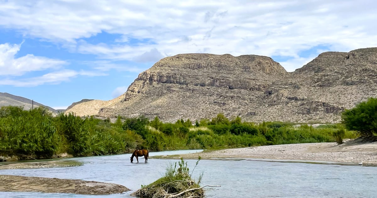 A lone brown horse wades in the shallow, turquoise-green Rio Grande River with lush riparian vegetation lining the far bank and dramatic flat-topped desert mesa rising behind under a partly cloudy sky. The scene has a serene, wild frontier mood with…