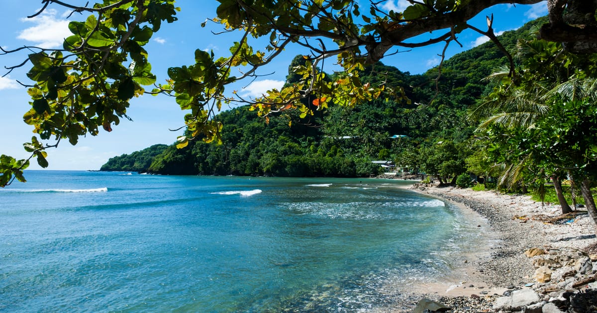A sheltered tropical cove with calm turquoise water framed by overhanging breadfruit tree branches, with a rocky shoreline curving into dense jungle-covered hills under a bright midday sun.