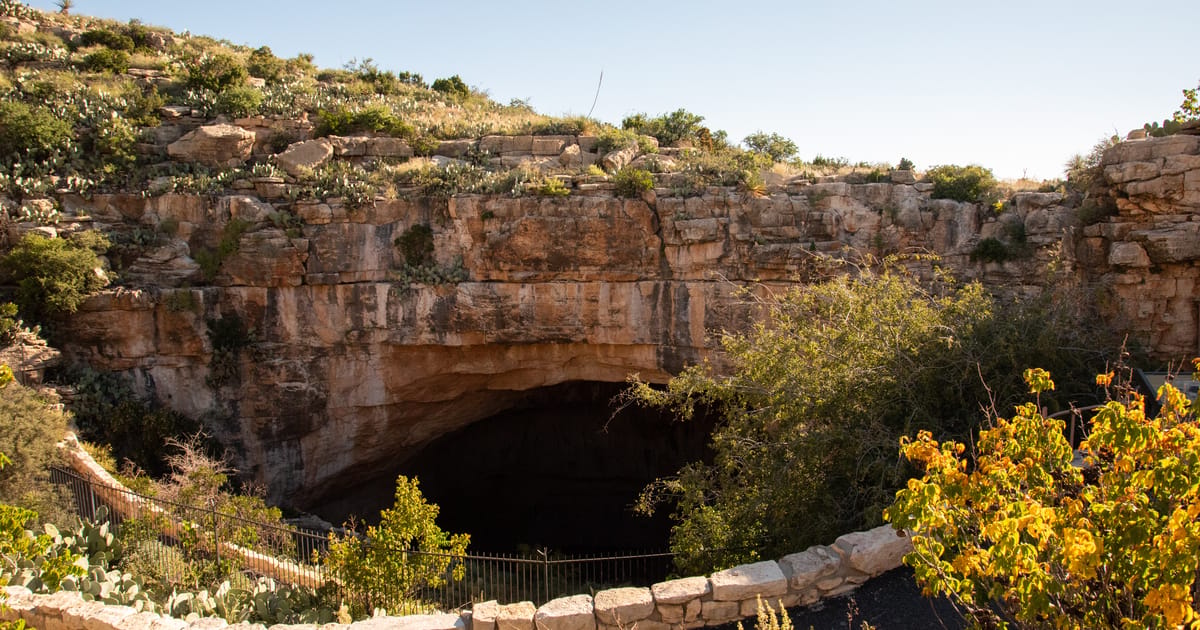 The natural entrance to Carlsbad Caverns, a massive arched cave opening carved into limestone cliffs in the Chihuahuan Desert, bathed in warm golden afternoon light with surrounding desert shrubs and cacti.