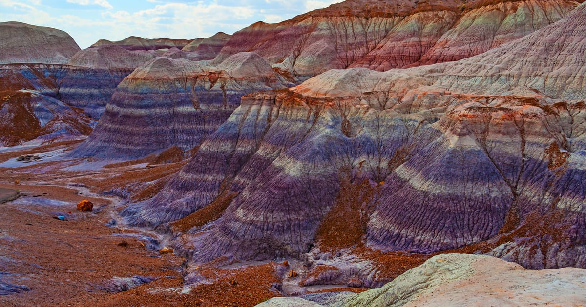 The Blue Mesa badlands of Petrified Forest National Park display dramatically layered bentonite clay hills striped in vivid purples, lavenders, reds, and grays, with scattered petrified wood logs on the valley floor. Warm late-afternoon light…