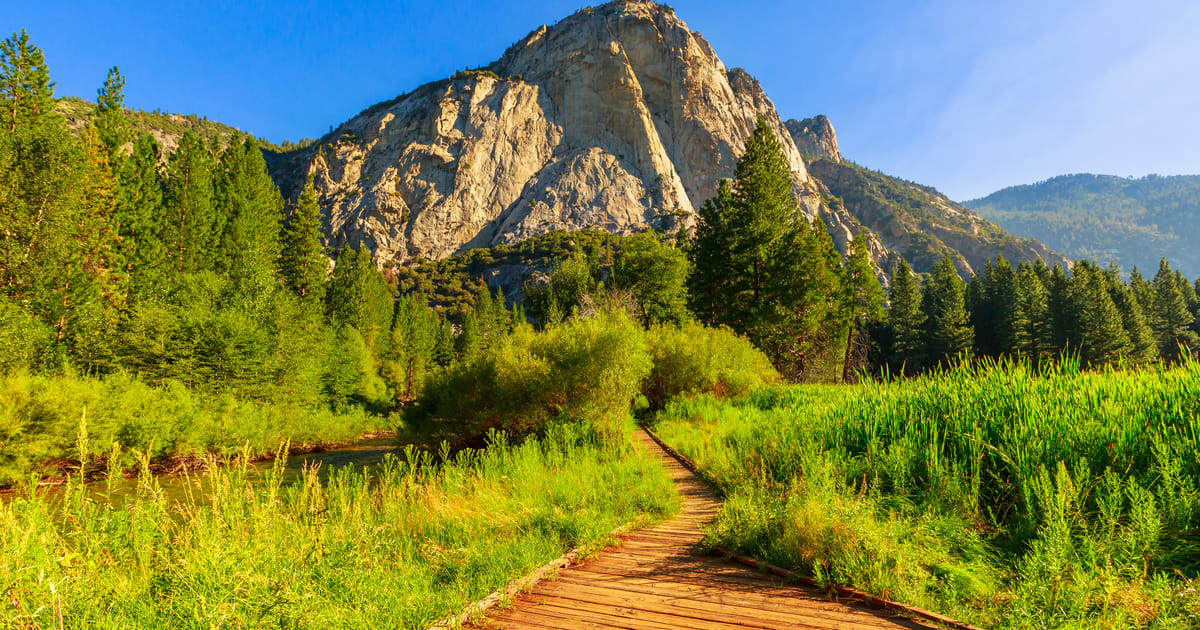 A wooden boardwalk trail winds through lush green meadows and willows toward a dramatic granite peak rising above a conifer forest in warm golden morning light.