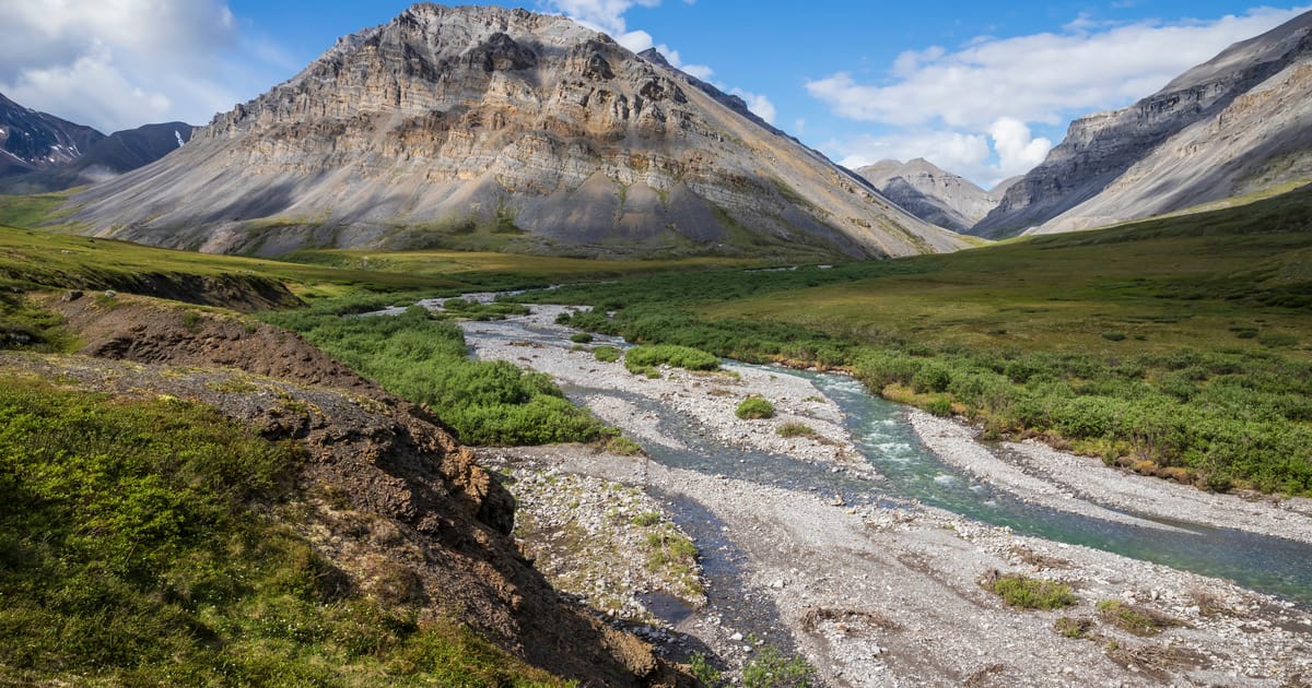 A braided glacial river winds through a broad alpine valley flanked by layered sedimentary mountains in warm summer light, evoking a sense of remote wilderness and serene grandeur.