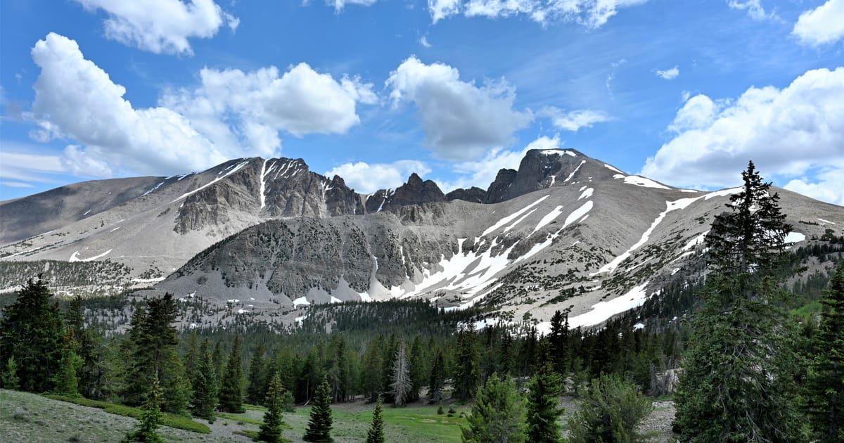 A sweeping alpine mountain range with rocky peaks dusted in remnant snow patches rises above a lush subalpine meadow and conifer forest, captured under a bright blue sky with billowing cumulus clouds in warm midday light.