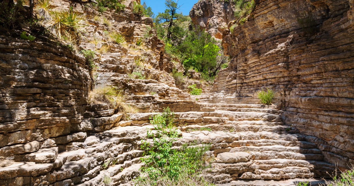 A natural stone staircase of layered limestone formations winds upward through a narrow canyon corridor, flanked by stratified rock walls with desert vegetation. Bright midday sunlight illuminates the warm tan and golden-brown rocks against a vivid…