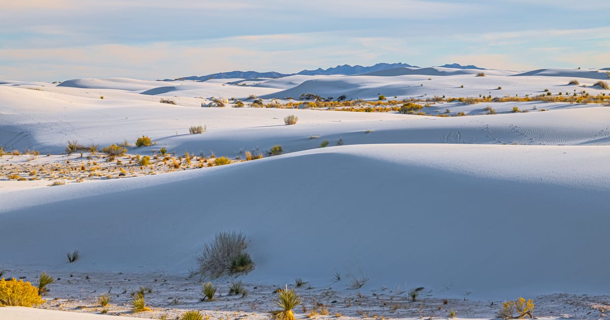 Sweeping white gypsum sand dunes of White Sands National Park stretch toward distant mountains, dotted with sparse desert shrubs and yucca plants. The scene is bathed in soft, warm early morning or late afternoon light that casts gentle shadows…