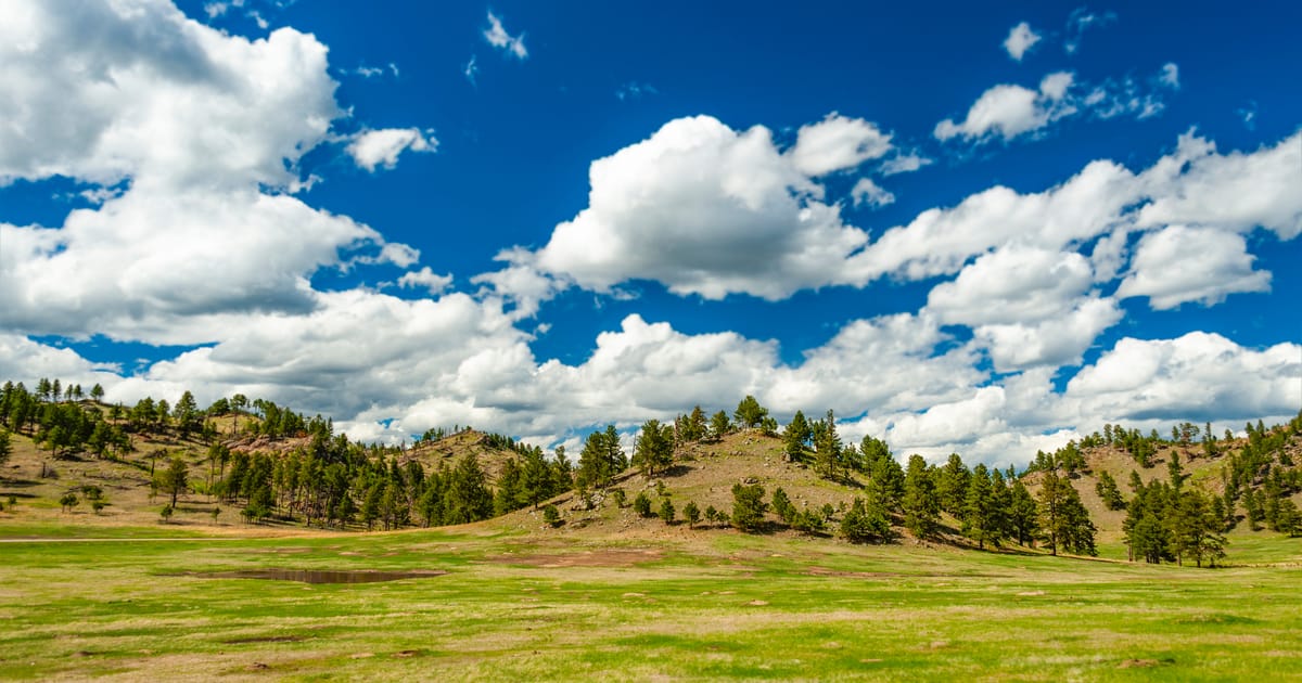 A lush green meadow spreads across the foreground beneath pine-dotted rolling hills, bathed in bright midday sunlight with dramatic cumulus clouds filling a vivid blue sky. The scene evokes an open, airy Rocky Mountain landscape, likely in the Black…