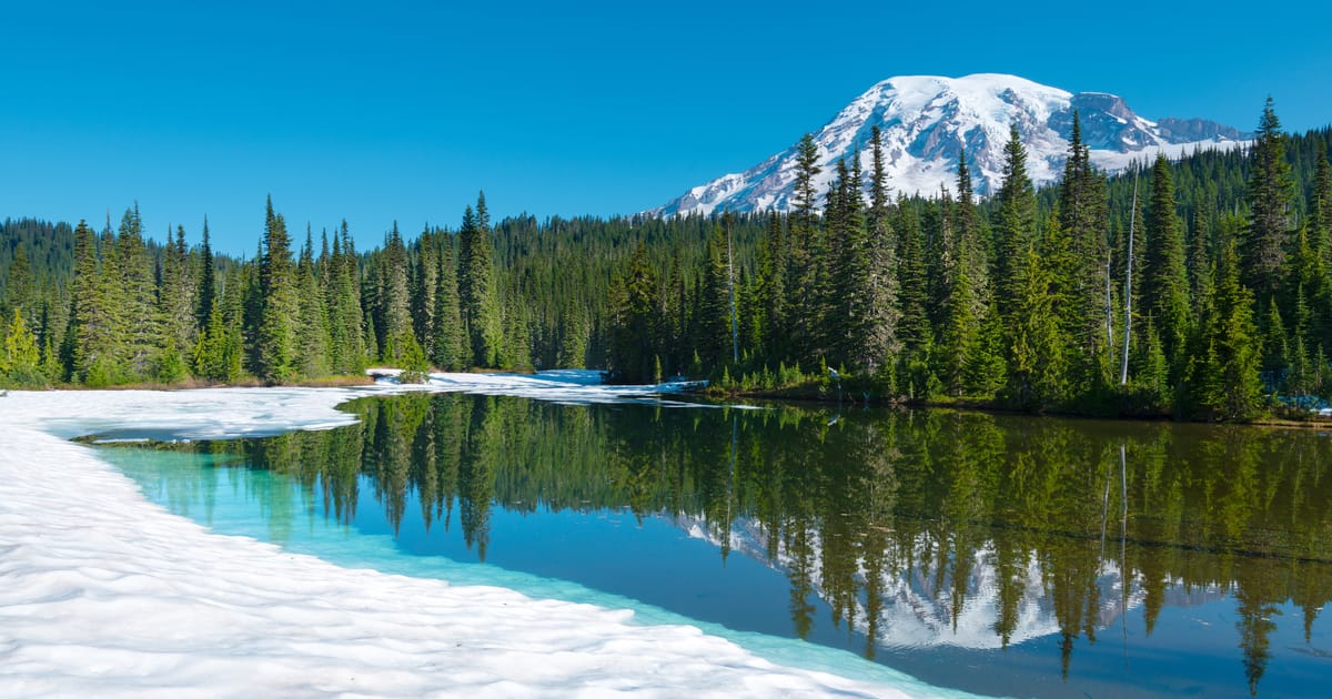 A stunning alpine lake partially covered in melting snow reflects dense evergreen forests and the snow-capped summit of Mount Rainier under a brilliant clear blue sky. The scene captures the transition between winter and summer with vivid…