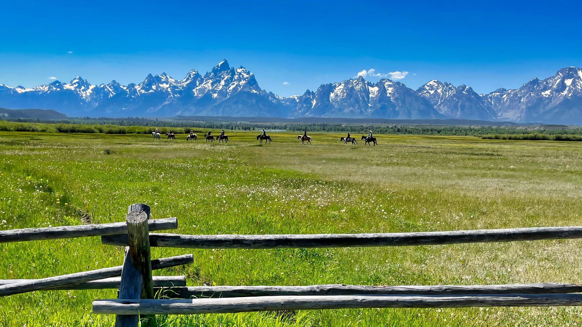 A sweeping summer meadow in Grand Teton National Park features a group of horseback riders crossing a vast green valley, with the iconic jagged, snow-capped Teton Range dramatically filling the horizon under a brilliant blue sky. A weathered…