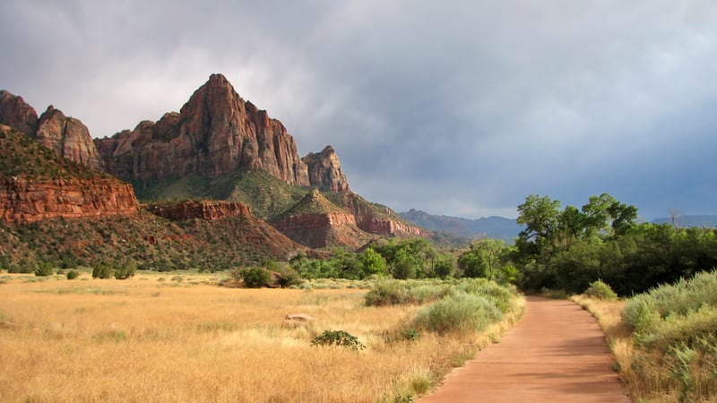 The Virgin River winding through Zion Canyon below the Watchman peak under a blue sky