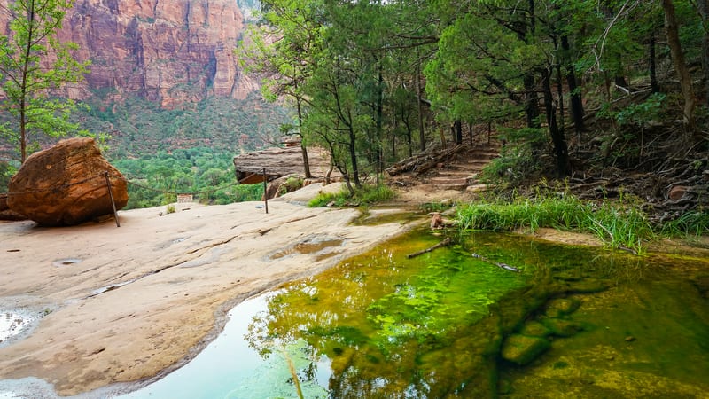 A waterfall cascading down striated red sandstone canyon walls in Zion National Park