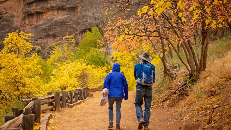 A paved riverside trail winding along the Zion Canyon floor beneath towering red sandstone cliffs