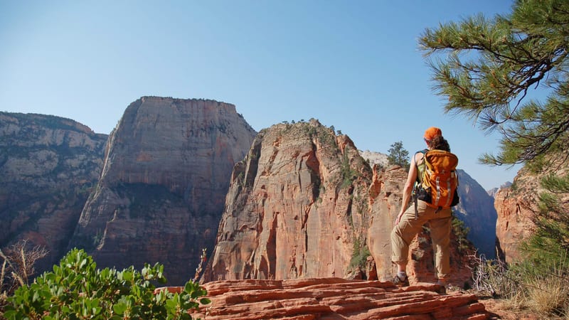 A hiker looking out over a sweeping Zion Canyon vista from a layered sandstone overlook