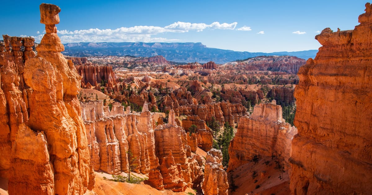 A sweeping panoramic view of Bryce Canyon's distinctive hoodoo formations, with towering red-orange sandstone spires filling the amphitheater under bright midday sunlight and a vivid blue sky. The scene conveys dramatic geological grandeur with warm, saturated tones contrasting against scattered green conifers and distant layered mesas.