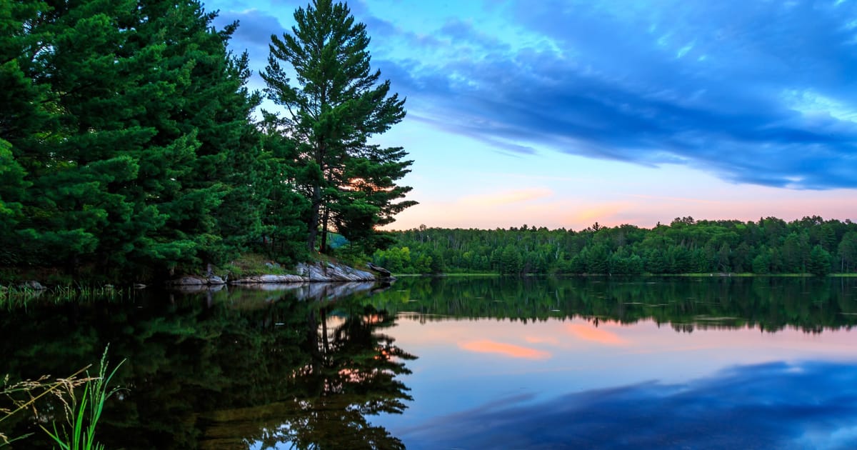 A serene lake at twilight reflects tall pine trees and a dramatic blue-purple sky with soft pink sunset hues near the horizon. The glassy, mirror-like water and lush evergreen shoreline create a tranquil, pristine wilderness mood.