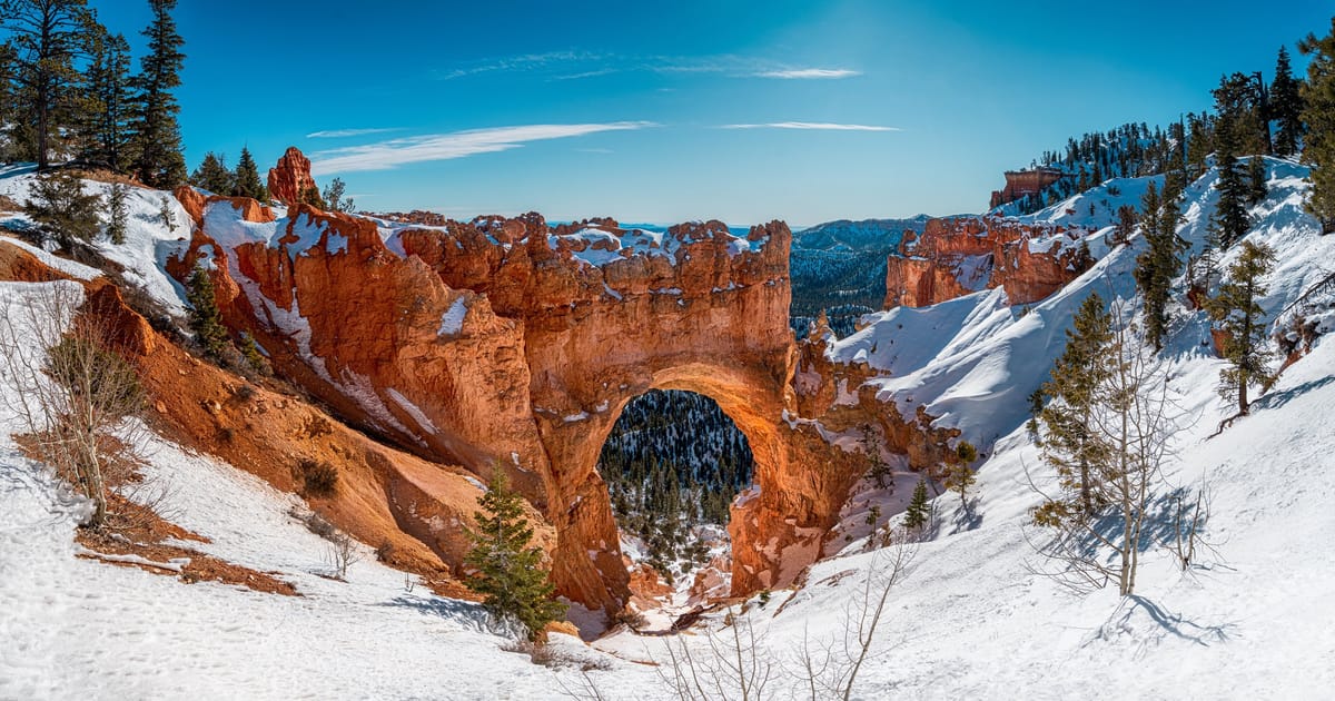 The historic Bryce Canyon Lodge in winter, its rustic log-and-stone facade dusted with snow and warm light glowing from the lobby windows. Snow-covered ponderosa pines frame the entrance under an overcast sky.