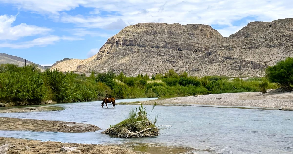 A lone brown horse wades in the shallow, turquoise-green Rio Grande River with lush riparian vegetation lining the far bank and dramatic flat-topped desert mesa rising behind under a partly cloudy sky. The scene has a serene, wild frontier mood with…