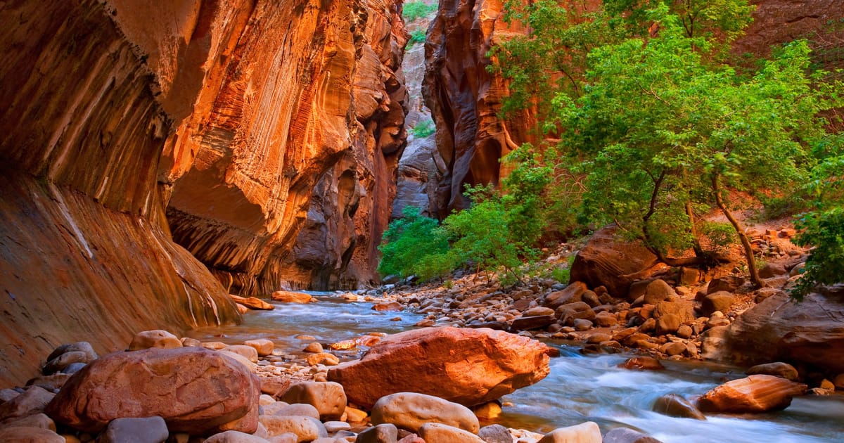 Smooth, water-carved sandstone walls of a Zion slot canyon glowing amber above a shallow river — the kind of narrow, river-cut corridor the Narrows hike follows.