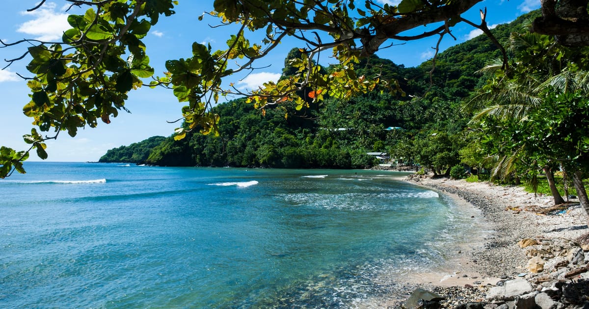 A sheltered tropical cove with calm turquoise water framed by overhanging breadfruit tree branches, with a rocky shoreline curving into dense jungle-covered hills under a bright midday sun.