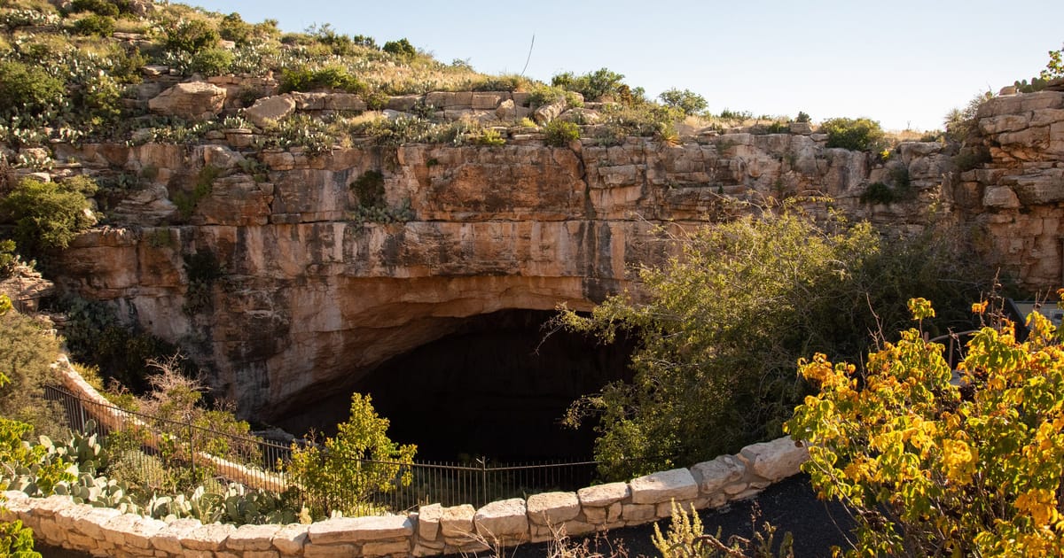 The natural entrance to Carlsbad Caverns, a massive arched cave opening carved into limestone cliffs in the Chihuahuan Desert, bathed in warm golden afternoon light with surrounding desert shrubs and cacti.