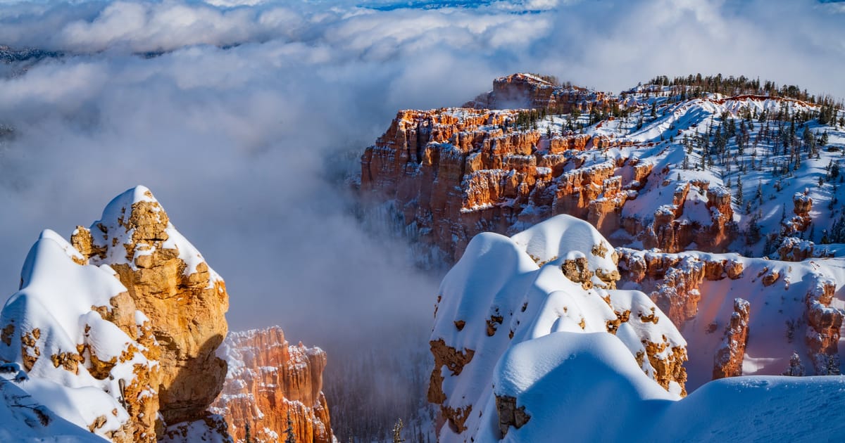 Bryce Canyon's hoodoo formations blanketed in fresh snow during winter, with the orange and cream limestone pillars frosted in white and a dusting of snow on the canyon floor. Cold blue shadows contrast with the warm ochre tones of the rock.