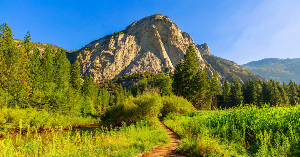 A wooden boardwalk trail winds through lush green meadows and willows toward a dramatic granite peak rising above a conifer forest in warm golden morning light.