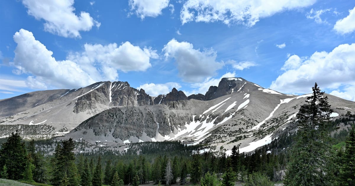 A sweeping alpine mountain range with rocky peaks dusted in remnant snow patches rises above a lush subalpine meadow and conifer forest, captured under a bright blue sky with billowing cumulus clouds in warm midday light.