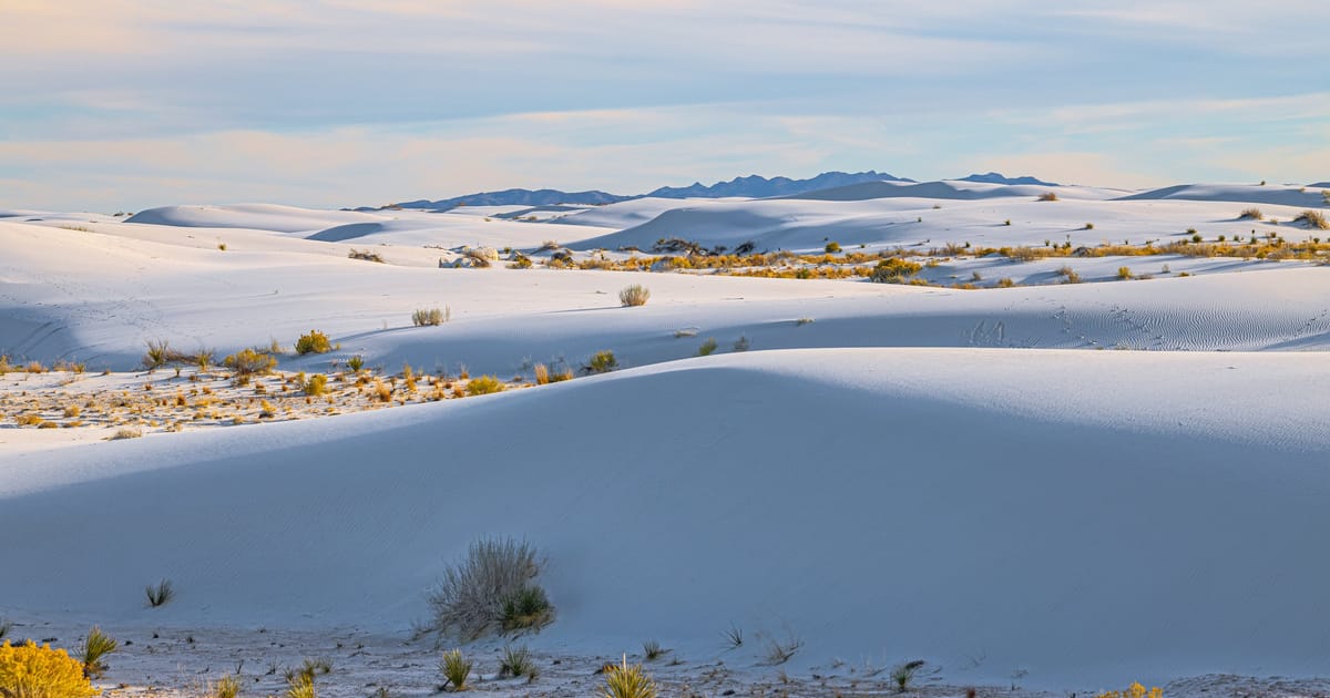 Sweeping white gypsum sand dunes of White Sands National Park stretch toward distant mountains, dotted with sparse desert shrubs and yucca plants. The scene is bathed in soft, warm early morning or late afternoon light that casts gentle shadows…