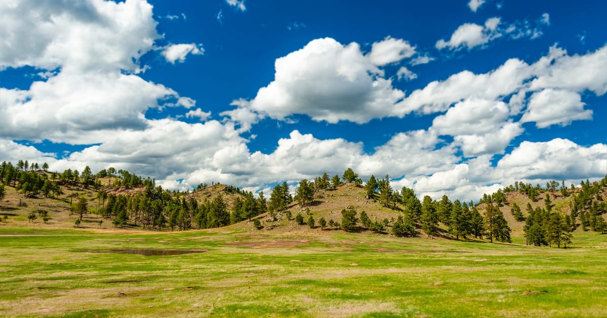 A lush green meadow spreads across the foreground beneath pine-dotted rolling hills, bathed in bright midday sunlight with dramatic cumulus clouds filling a vivid blue sky. The scene evokes an open, airy Rocky Mountain landscape, likely in the Black…