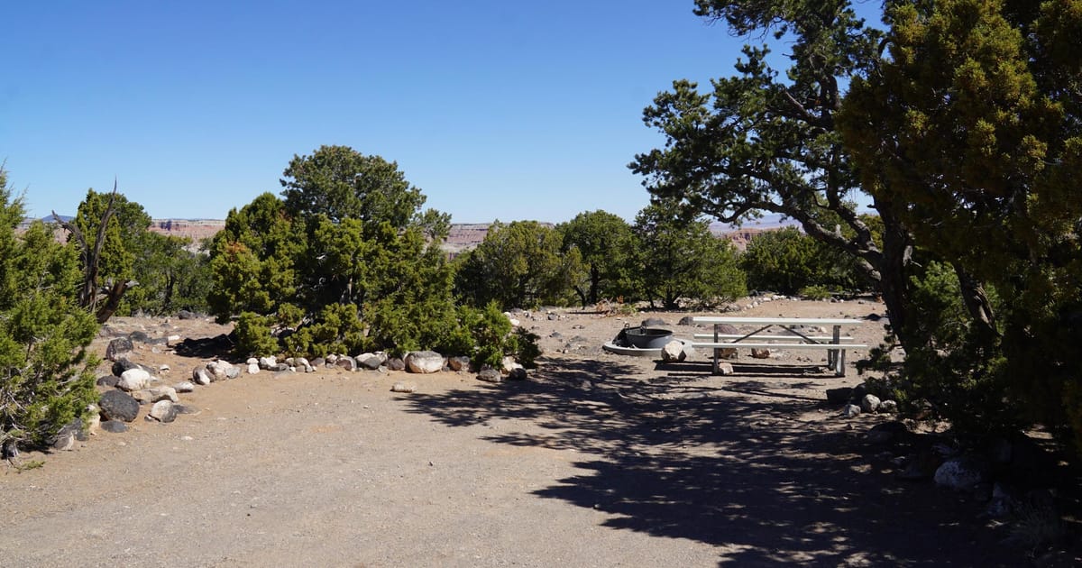 A rustic desert campsite surrounded by pinyon pine and juniper trees, with red canyon cliffs visible in the background under a clear blue midday sky. The scene features a metal fire ring and a white picnic table partially shaded by the trees.