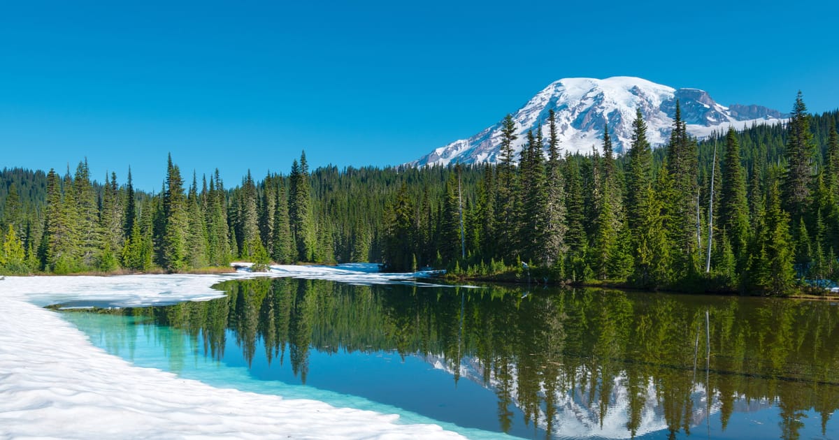 A stunning alpine lake partially covered in melting snow reflects dense evergreen forests and the snow-capped summit of Mount Rainier under a brilliant clear blue sky. The scene captures the transition between winter and summer with vivid…