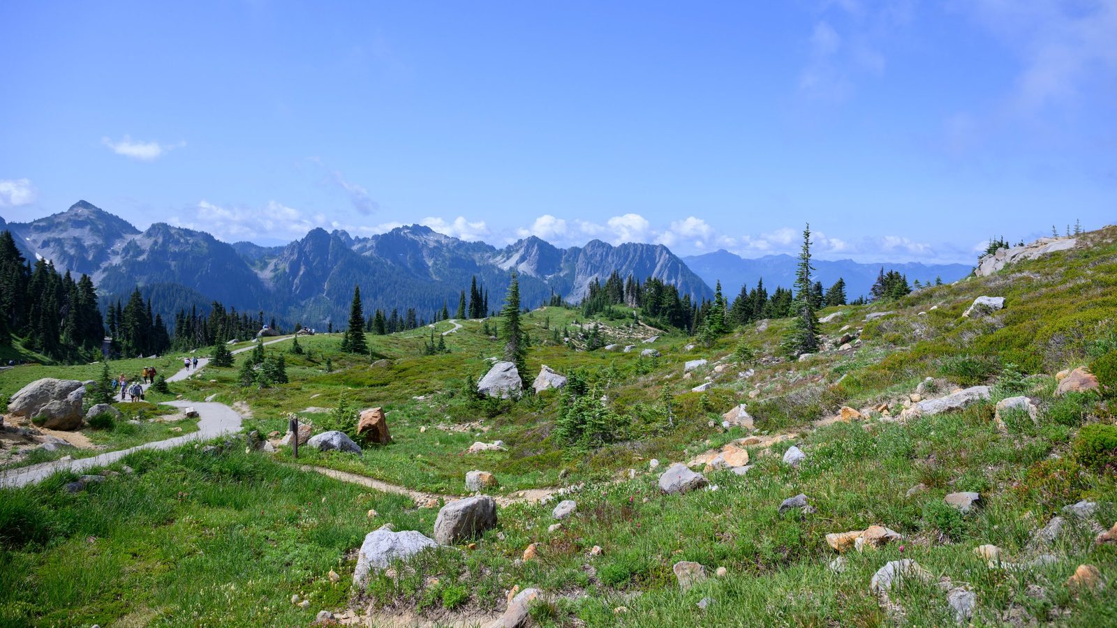 Hikers walk a paved path through a rocky subalpine meadow with scattered evergreen trees and a jagged mountain ridgeline in the background under a clear blue sky.