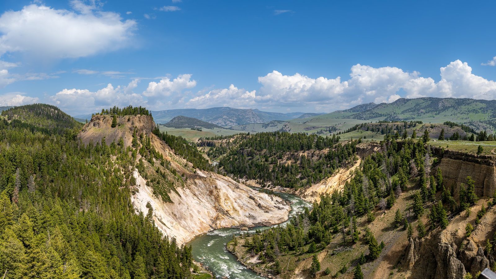 A sweeping panoramic view of the Yellowstone River cutting through a rugged canyon with cream and ochre-colored rock walls, flanked by dense evergreen forest…