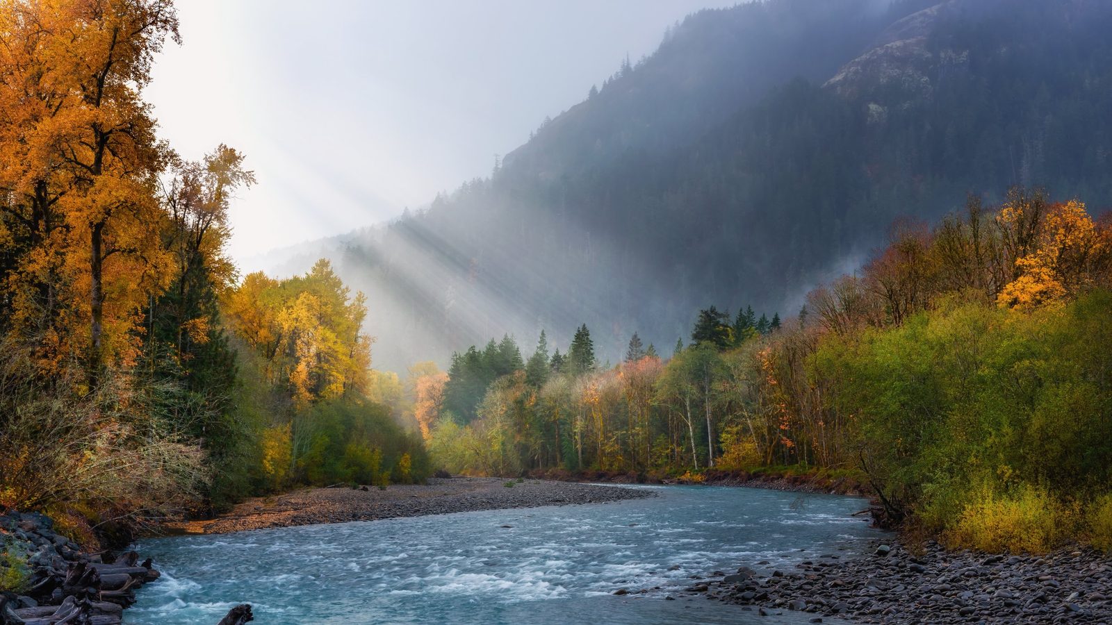 A glacial turquoise river winds through a misty Pacific Northwest valley flanked by vivid autumn foliage in golds, oranges, and greens.