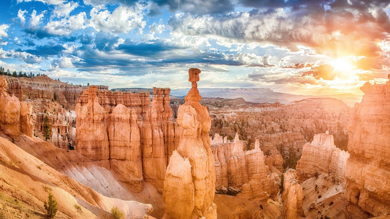 A sweeping panoramic view of Bryce Canyon's distinctive hoodoo formations, with towering red-orange sandstone spires filling the amphitheater under bright midday sunlight and a vivid blue sky. The scene conveys dramatic geological grandeur with warm, saturated tones contrasting against scattered green conifers and distant layered mesas.