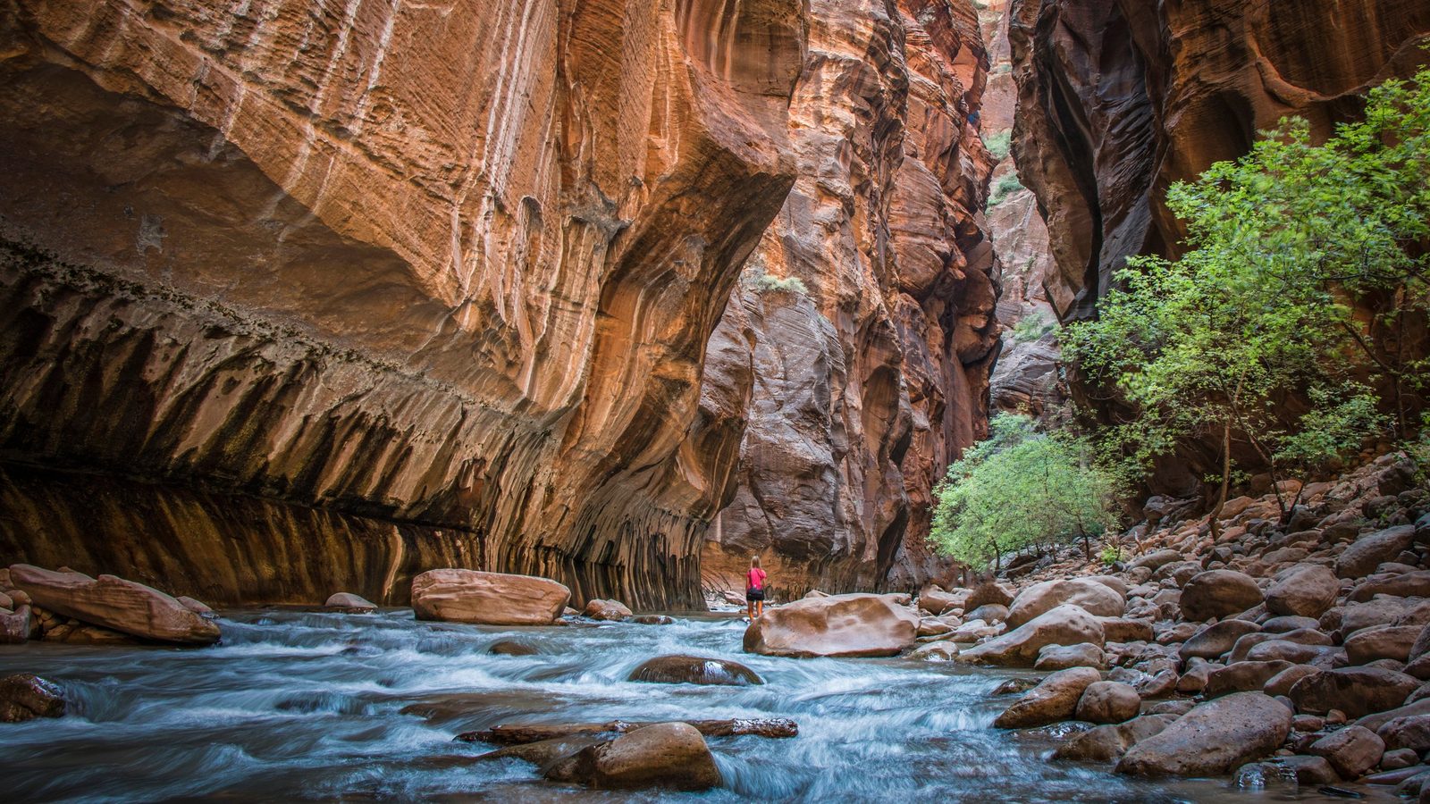 A dramatic slot canyon known as The Narrows in Zion National Park, featuring towering red Navajo sandstone walls carved by the Virgin River, with a lone hike…