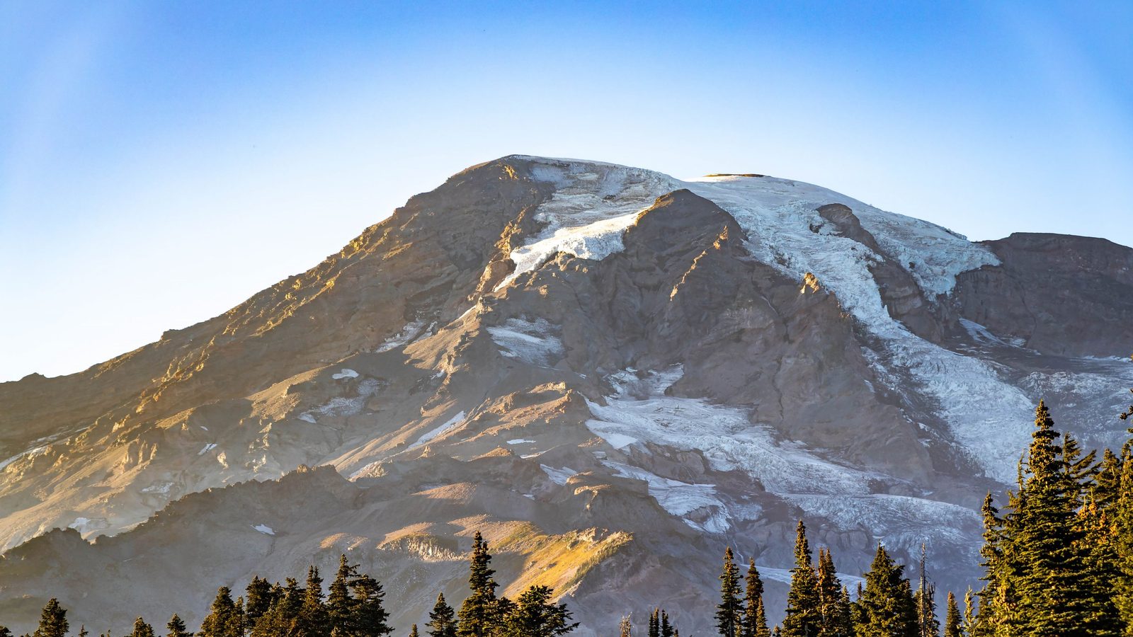 The upper slopes and glaciated summit of Mount Rainier are bathed in warm golden-hour light from the left, with snow and ice fields visible on the right flan…