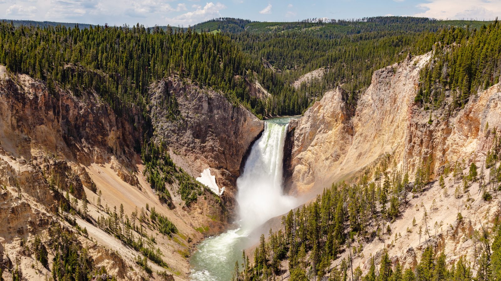 The Lower Falls of the Yellowstone River plunges over 300 feet into the Grand Canyon of the Yellowstone, surrounded by yellow and ochre canyon walls densely …
