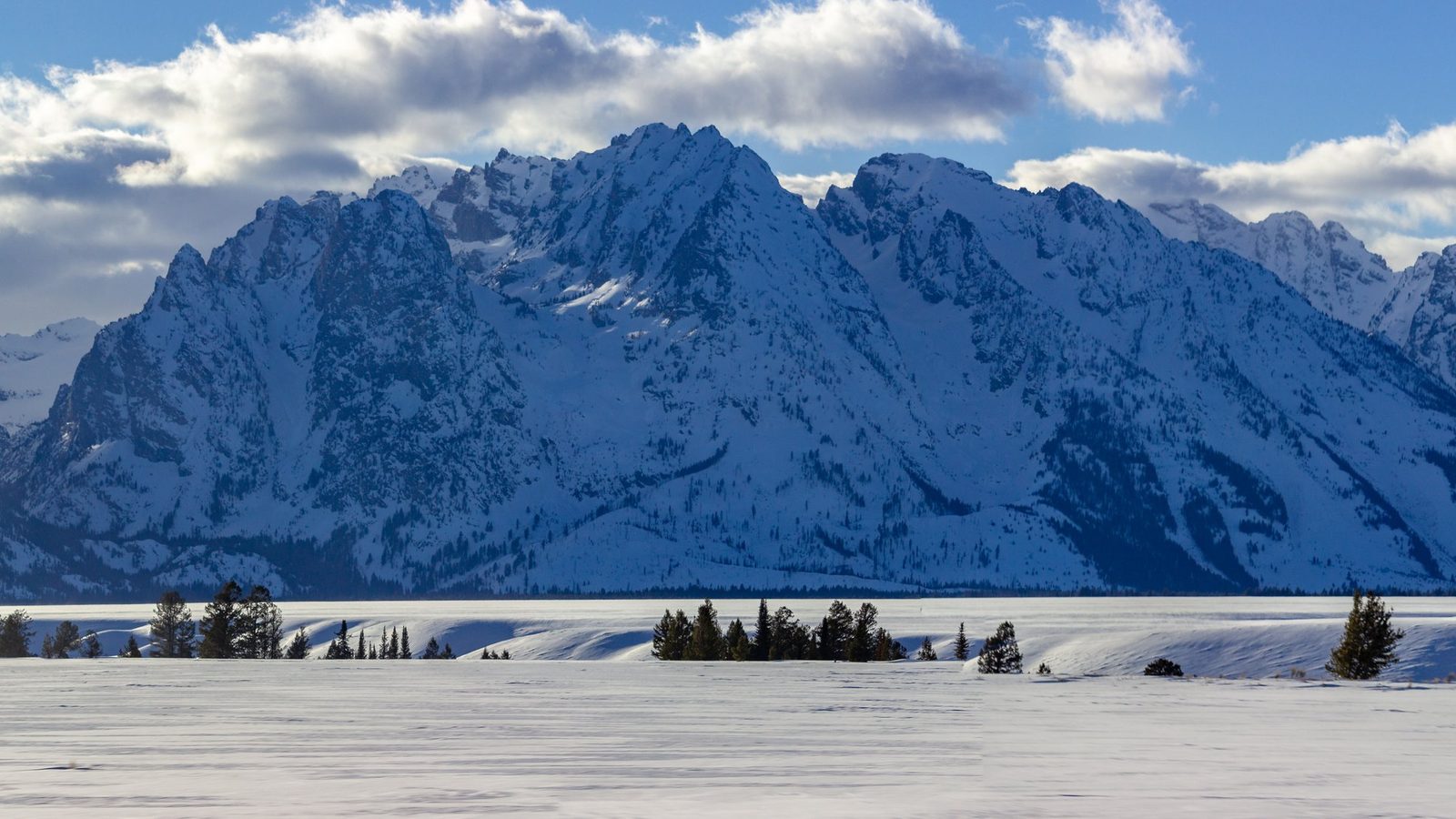 A sweeping winter panorama of the snow-covered Teton Range in Grand Teton National Park, with a vast snowy valley floor dotted with evergreen trees in the fo…