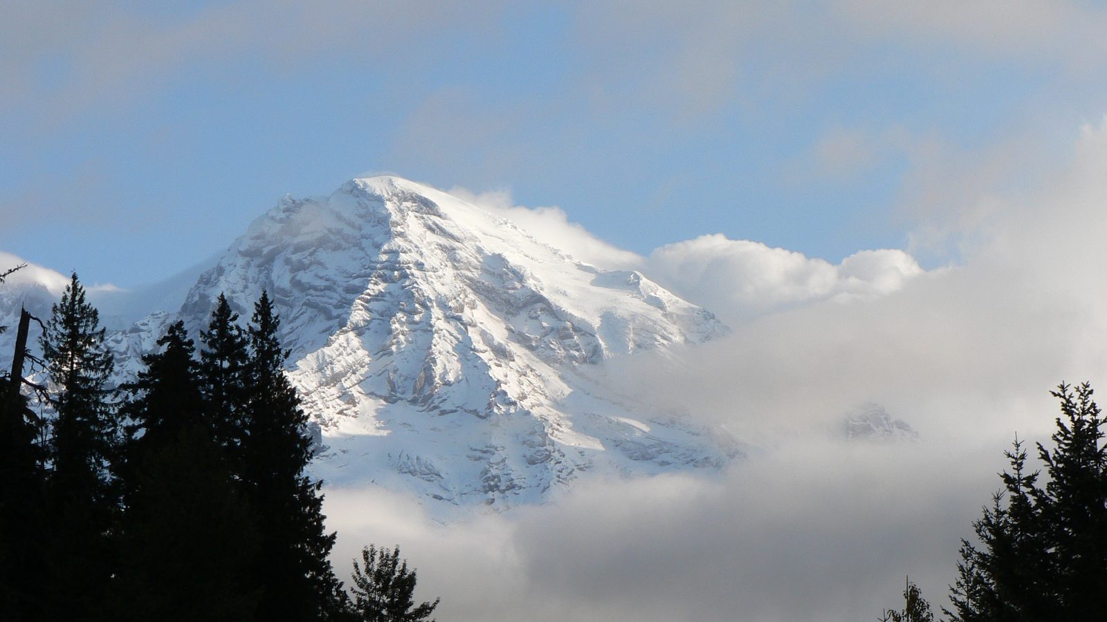 A snow-covered volcanic peak, almost certainly Mount Rainier, rises above a band of low clouds with conifer silhouettes framing the foreground.