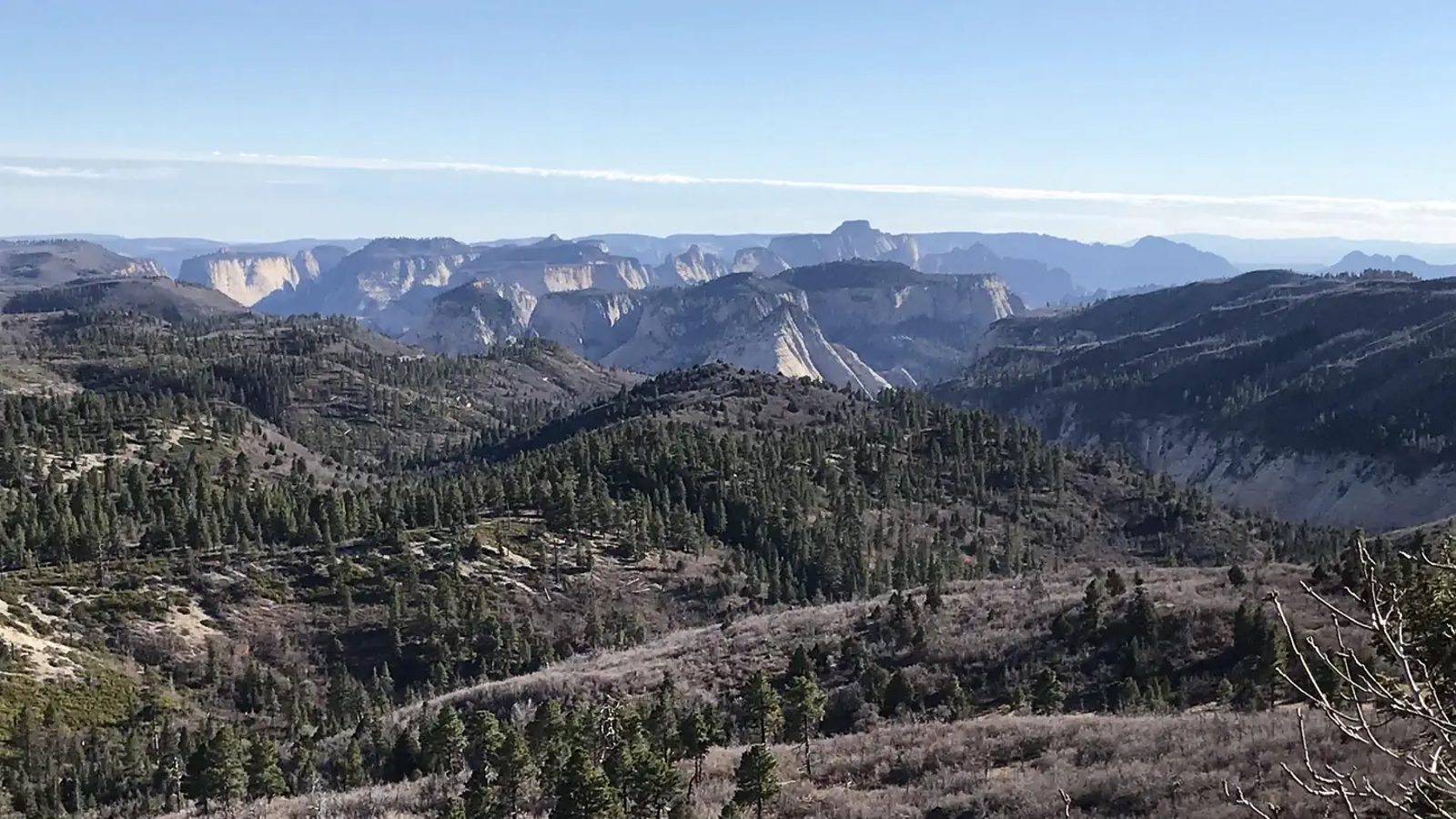 A sweeping high-elevation panorama looks out over a forested plateau toward massive sandstone cliff formations and mesas receding into a hazy blue distance.