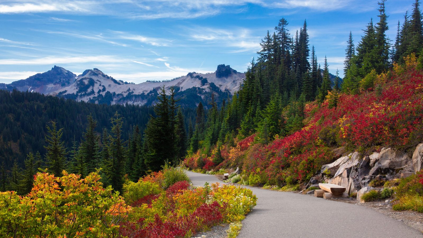 A paved hiking trail winds through vibrant autumn foliage of red, orange, and yellow shrubs with tall evergreen conifers and snow-dusted mountain peaks in th…