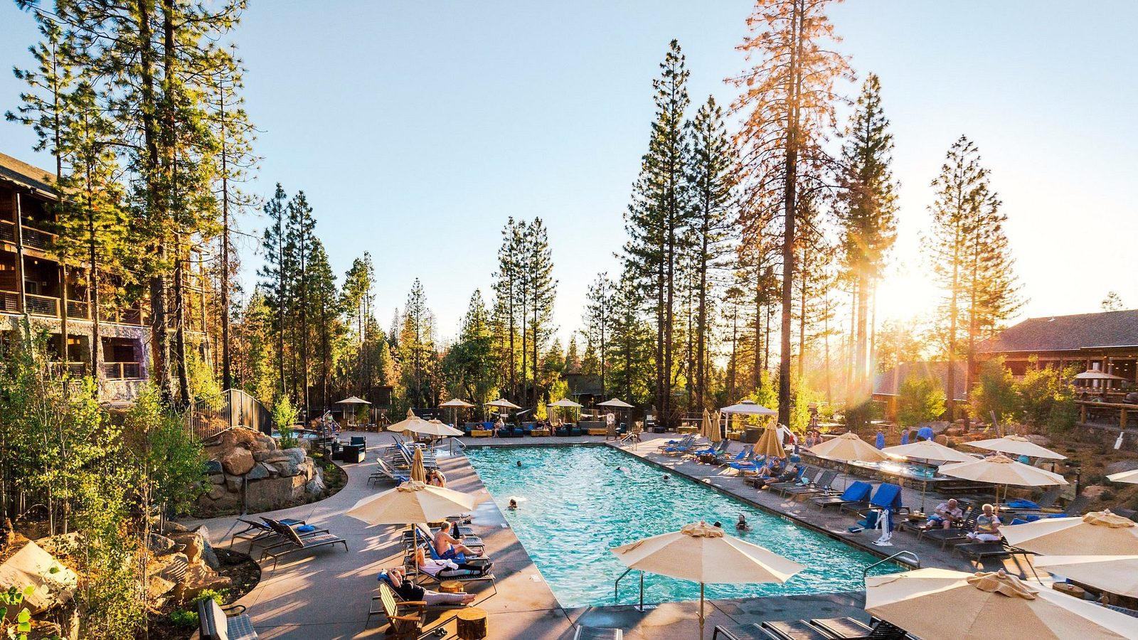 A resort swimming pool surrounded by tall ponderosa pines is bathed in warm golden sunlight near sunset, with lounge chairs and umbrellas lining the pool dec…