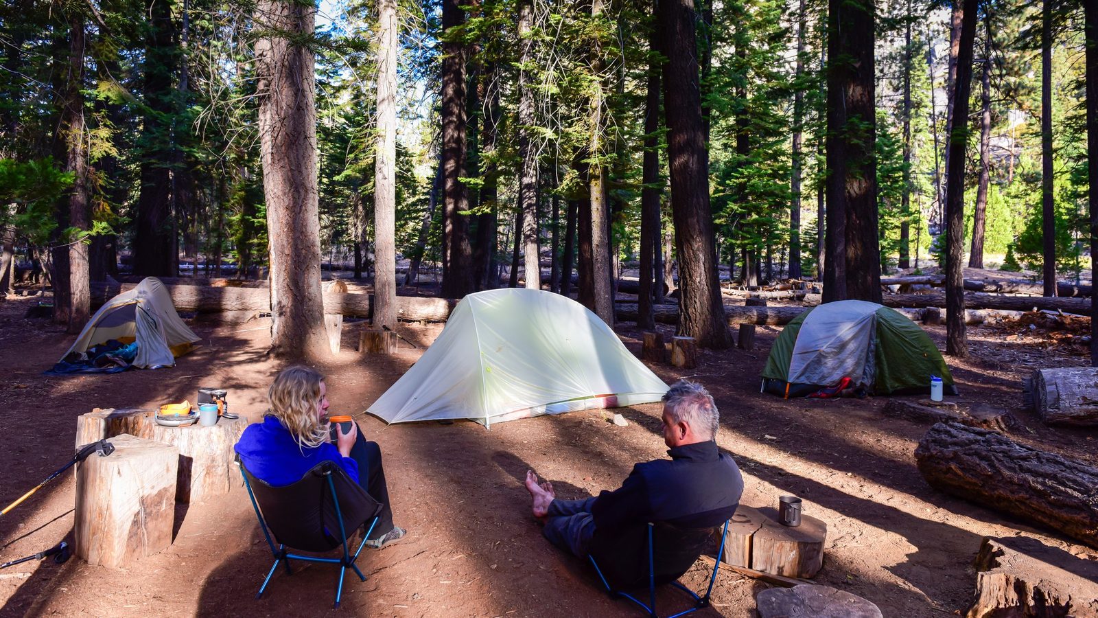 A forested campsite nestled among tall conifers, with multiple tents pitched on reddish-brown dirt and two campers relaxing in the dappled morning or late-af…