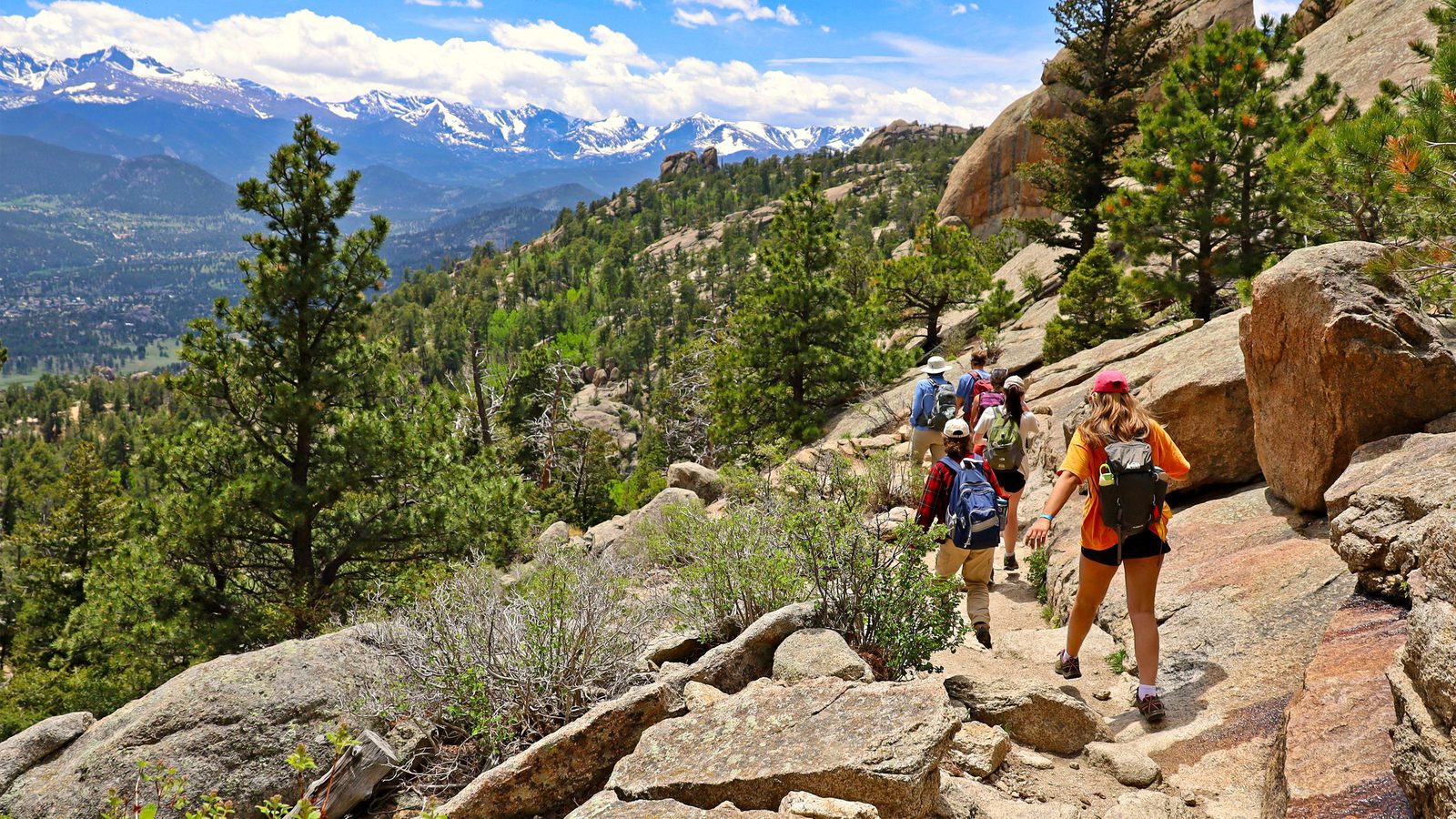 A group of hikers on a rocky mountain trail through pine forest, with snow-capped peaks beyond.