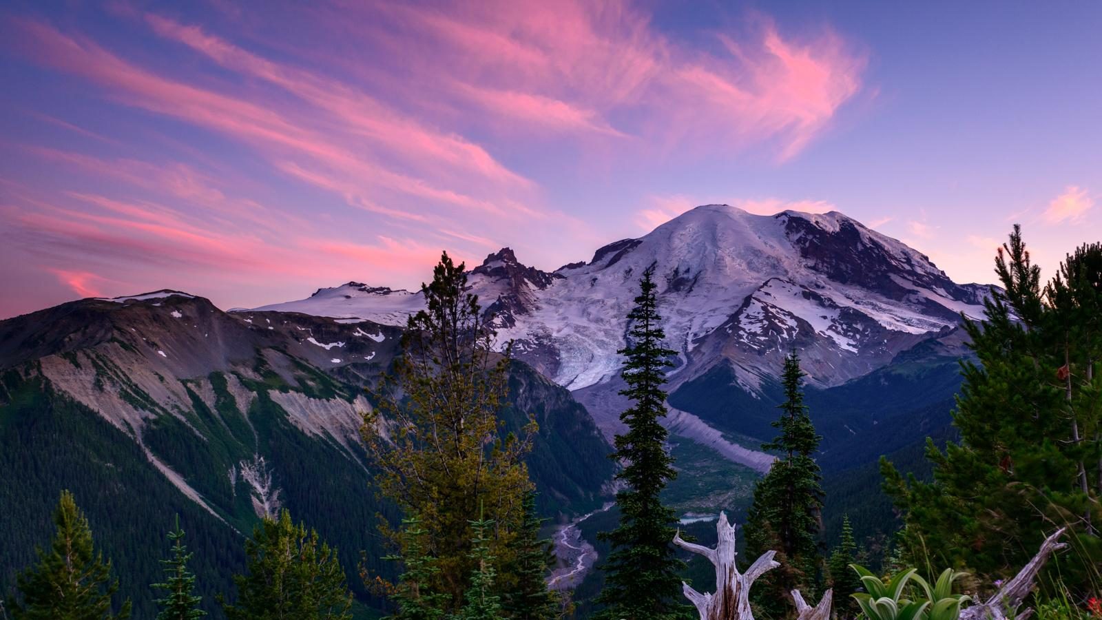 Mount Rainier's snow-capped volcanic summit towers above a glacially carved river valley, viewed from an elevated wildflower meadow at sunset with vivid pink…