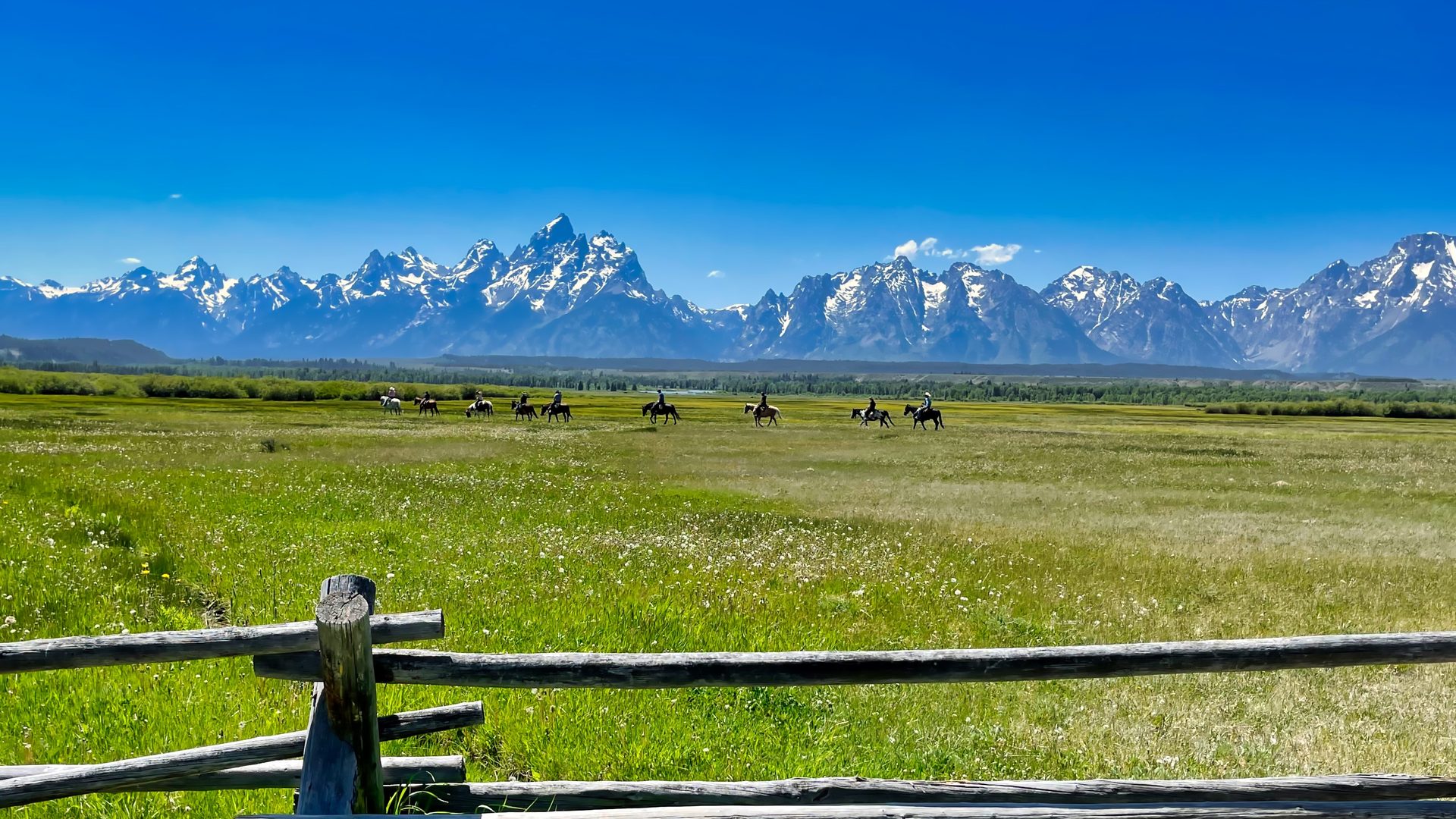 A sweeping summer meadow in Grand Teton National Park features a group of horseback riders crossing a vast green valley, with the iconic jagged, snow-capped Teton Range dramatically filling the horizon under a brilliant blue sky. A weathered…