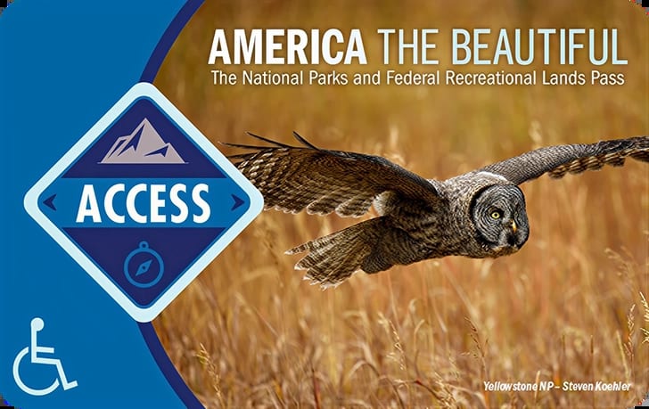 The Access Pass card — issued free for lifetime to US citizens and permanent residents with a permanent disability.