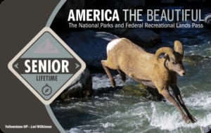 The Senior Lifetime Pass card — the lifetime version of the senior federal recreation pass.
